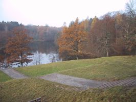 Fotoimpressionen: Laufen am Bärensee
