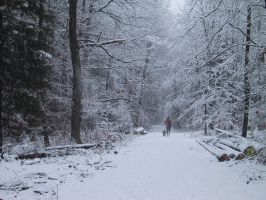 Jahreslauf-Foto: Winter