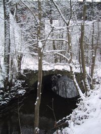 Fotoimpressionen vom Trainingslauf entlang des Glemsmühlenwegs