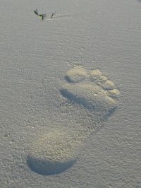 Fotoimpressionen von der Malediveninsel Vakarufalhi