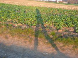 Fotoimpressionen vom Trainingslauf von Ditzingen nach Korntal Münchingen