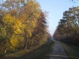 Jahreslauf-Foto: Herbst